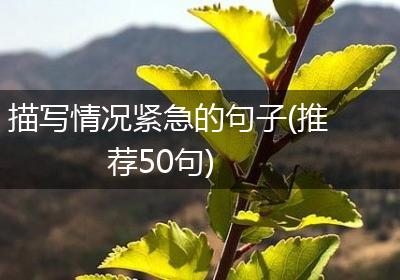 描写情况紧急的句子(推荐50句)