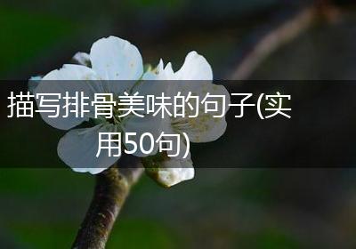 描写排骨美味的句子(实用50句)