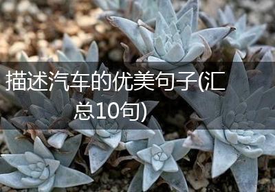 描述汽车的优美句子(汇总10句)