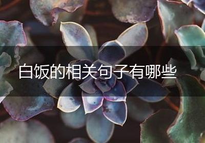 白饭的相关句子有哪些