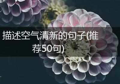描述空气清新的句子(推荐50句)