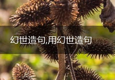 幻世造句,用幻世造句