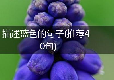 描述蓝色的句子(推荐40句)