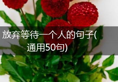 放弃等待一个人的句子(通用50句)