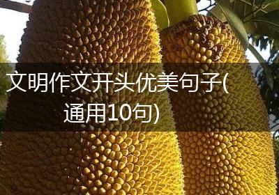 文明作文开头优美句子(通用10句)