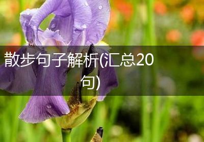 散步句子解析(汇总20句)