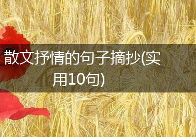 散文抒情的句子摘抄(实用10句)