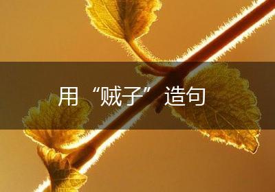 用“贼子”造句