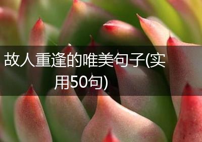 故人重逢的唯美句子(实用50句)