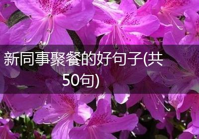 新同事聚餐的好句子(共50句)