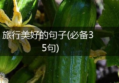旅行美好的句子(必备35句)
