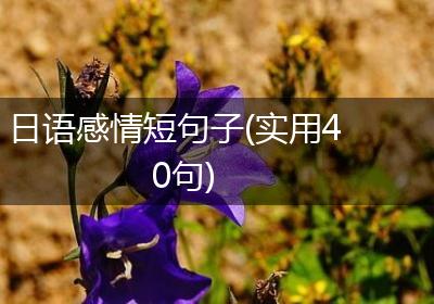 日语感情短句子(实用40句)