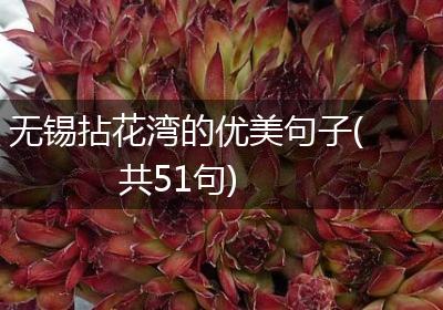 无锡拈花湾的优美句子(共51句)