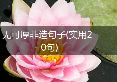 无可厚非造句子(实用20句)
