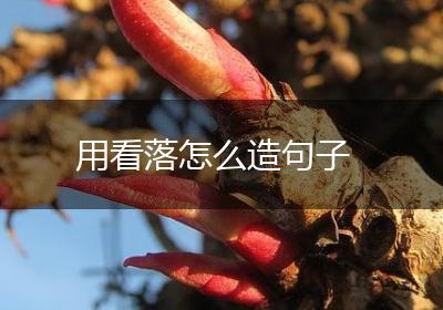 用看落怎么造句子