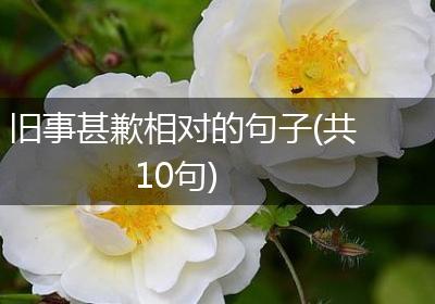 旧事甚歉相对的句子(共10句)