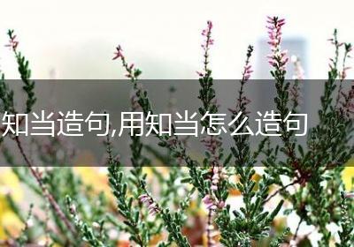 知当造句,用知当怎么造句