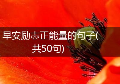 早安励志正能量的句子(共50句)