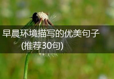 早晨环境描写的优美句子(推荐30句)