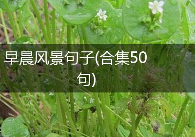 早晨风景句子(合集50句)