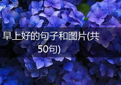 早上好的句子和图片(共50句)