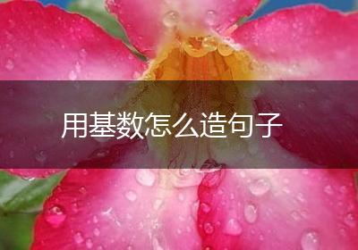 用基数怎么造句子