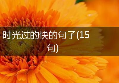 时光过的快的句子(15句)
