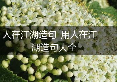 人在江湖造句_用人在江湖造句大全