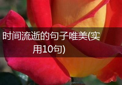 时间流逝的句子唯美(实用10句)
