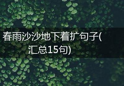 春雨沙沙地下着扩句子(汇总15句)