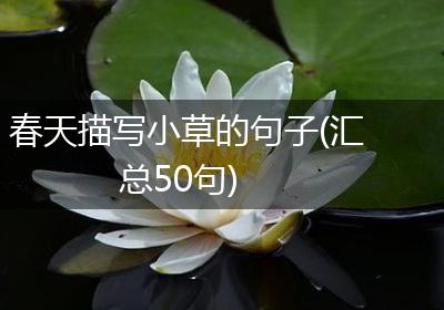 春天描写小草的句子(汇总50句)