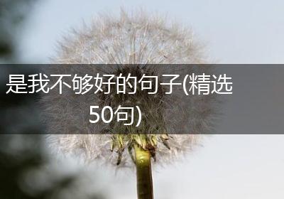 是我不够好的句子(精选50句)