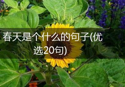 春天是个什么的句子(优选20句)