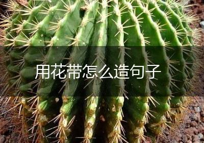 用花带怎么造句子