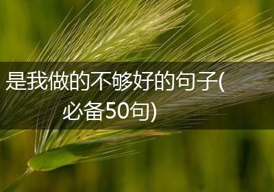 是我做的不够好的句子(必备50句)