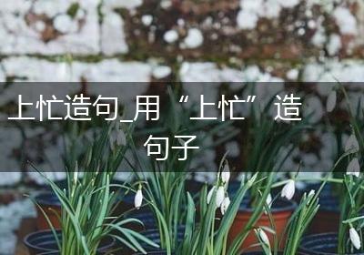 上忙造句_用“上忙”造句子