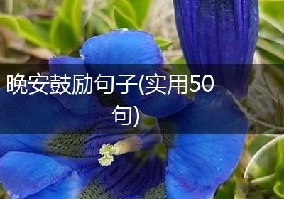 晚安鼓励句子(实用50句)