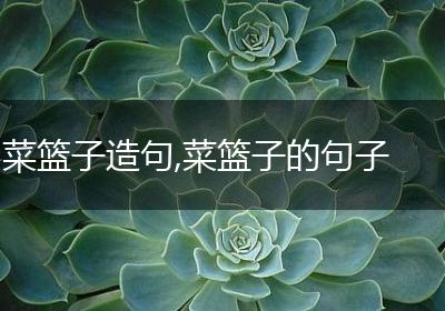 菜篮子造句,菜篮子的句子
