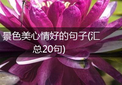 景色美心情好的句子(汇总20句)