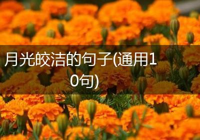 月光皎洁的句子(通用10句)