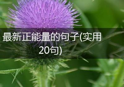 最新正能量的句子(实用20句)