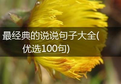最经典的说说句子大全(优选100句)