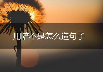 用陪不是怎么造句子