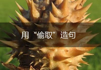 用“偷取”造句