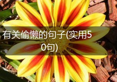 有关偷懒的句子(实用50句)
