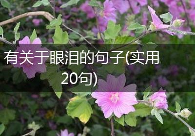 有关于眼泪的句子(实用20句)