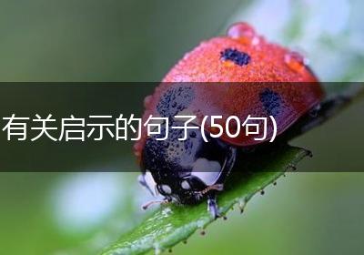 有关启示的句子(50句)
