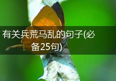 有关兵荒马乱的句子(必备25句)