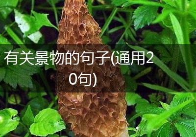 有关景物的句子(通用20句)