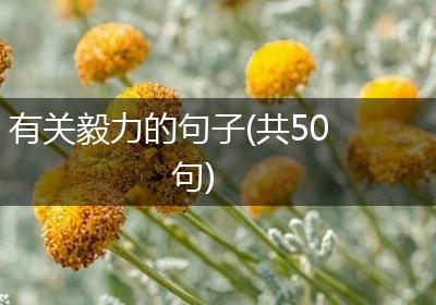 有关毅力的句子(共50句)